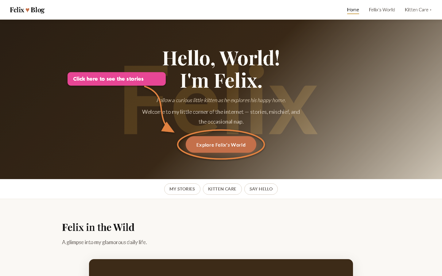 An orange arrow and circle drawn around the 'Explore Felix's World' button, with a magenta callout reading 'Click here to see the stories.'